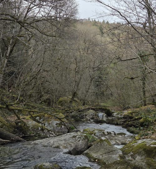 river with views